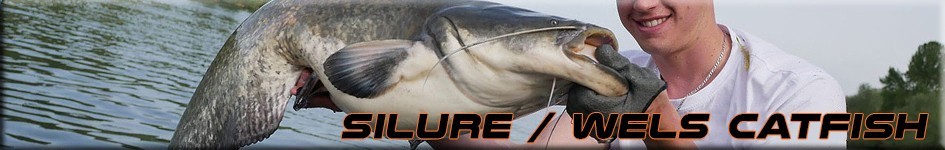 Best lure for Silure: best hard and soft lures